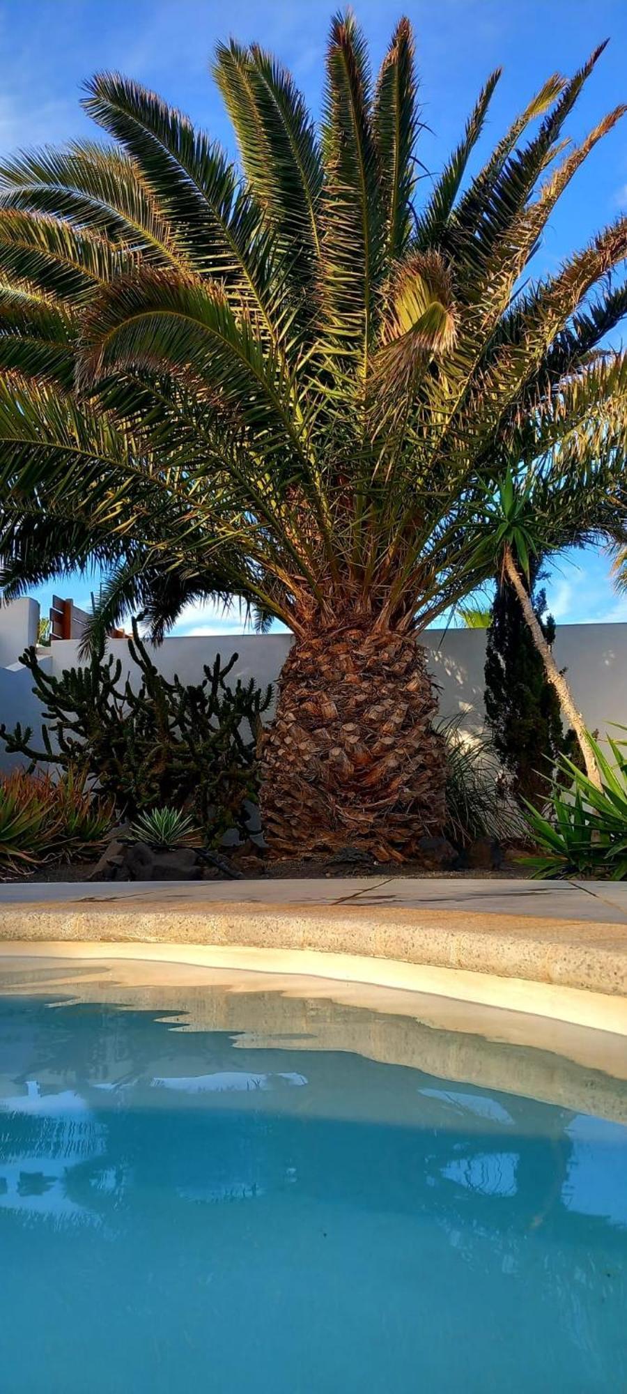 Вилла Casa Alizee, Heated Pool, Hot Tub Коста Бланка Экстерьер фото